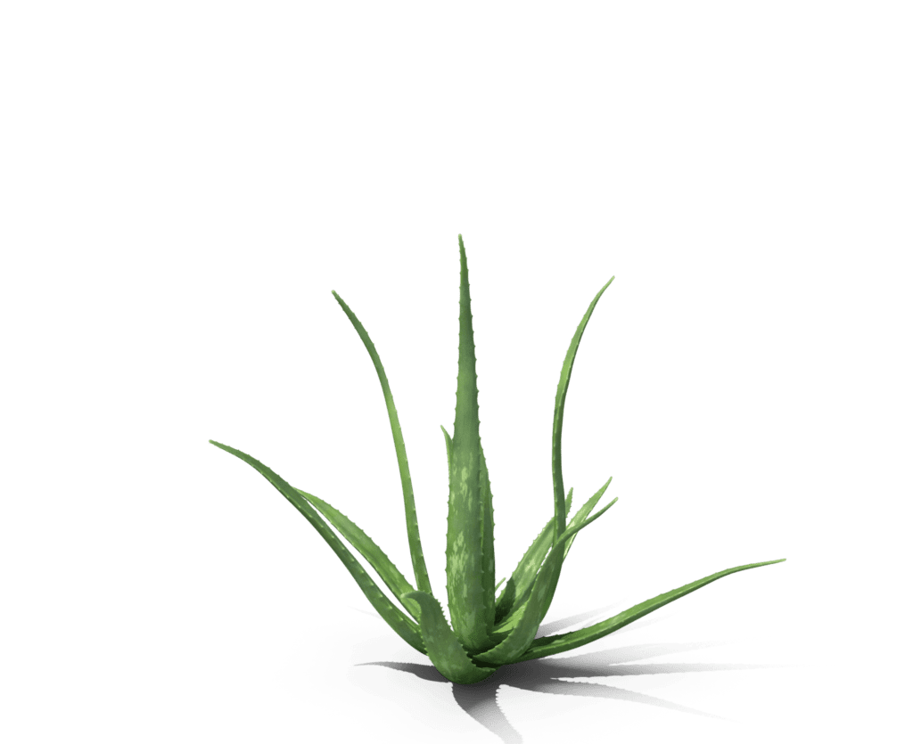 Products Solarium Products Solarium