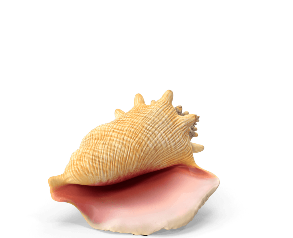 Products Solarium Products Solarium